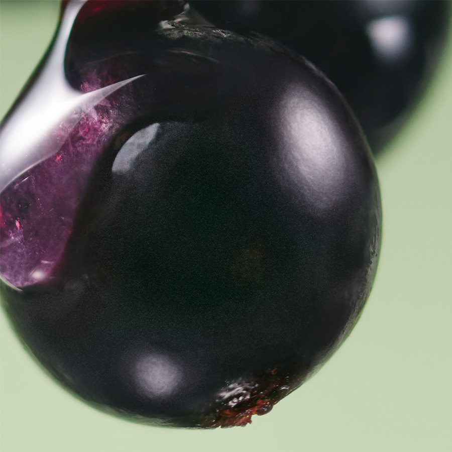 Photo en close-up du cassis