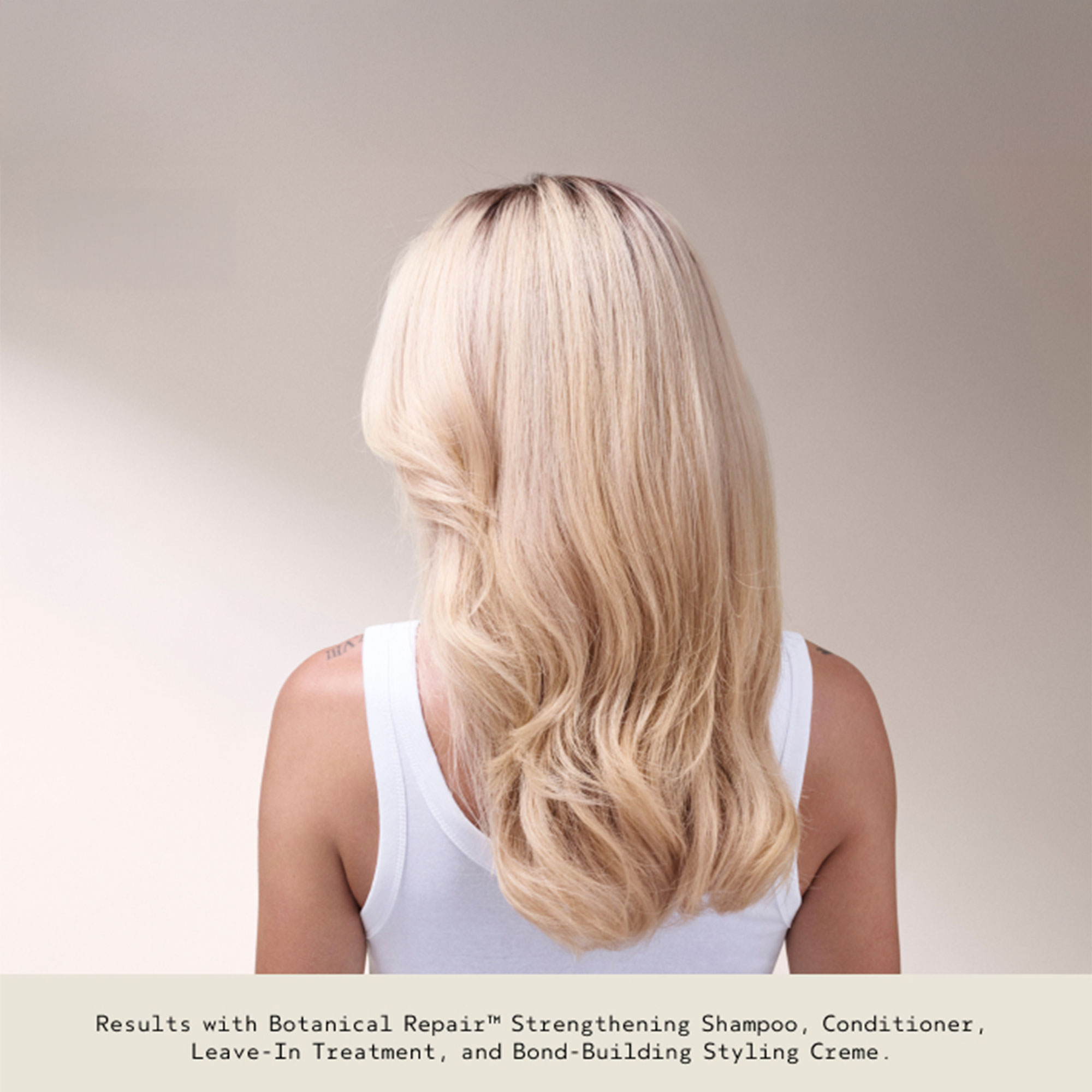 A shot of a woman with washed hair from behind, from the shoulders up