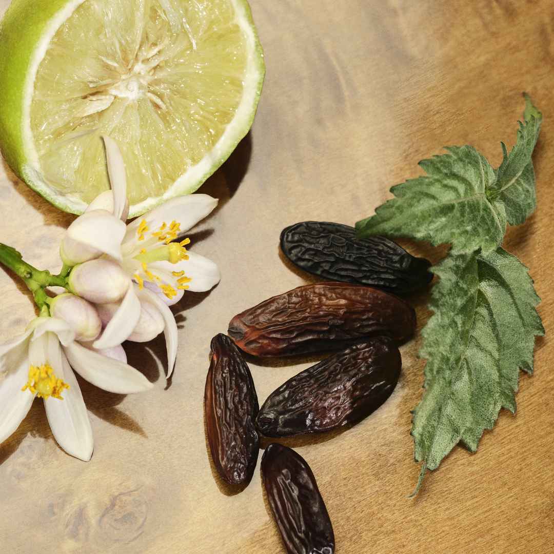 Chloé Le Nectar