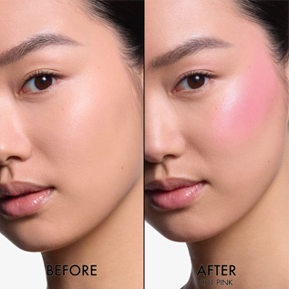 Dior Backstage UNE POUDRE EN FUSION AVEC LA PEAU