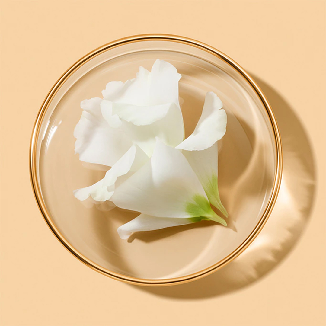 Estée Lauder