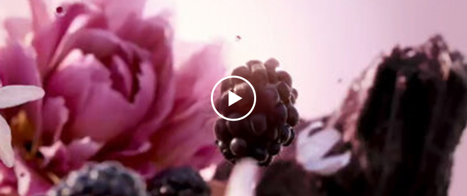 Vidéo présentant les notes présentes dans le nouveau Miss Dior Essence : mûre, jasmin sambac et bois de chêne.