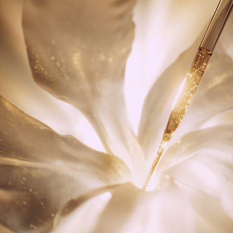 Meer 100 multi-actieve peptiden