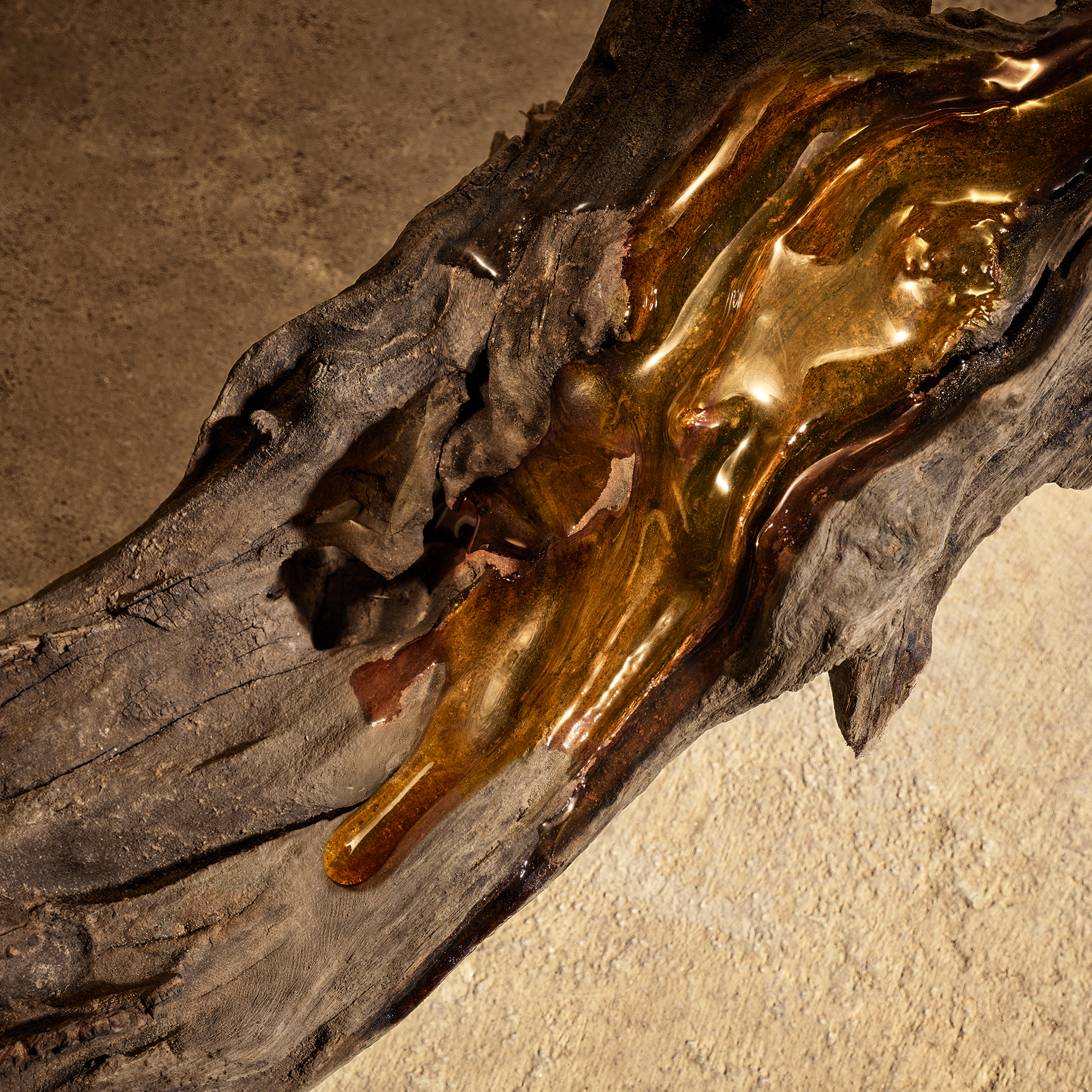 Foto van een houten stronk deels bedekt met honing.