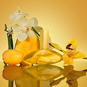 Calvin Klein Solar Elixir ingredients