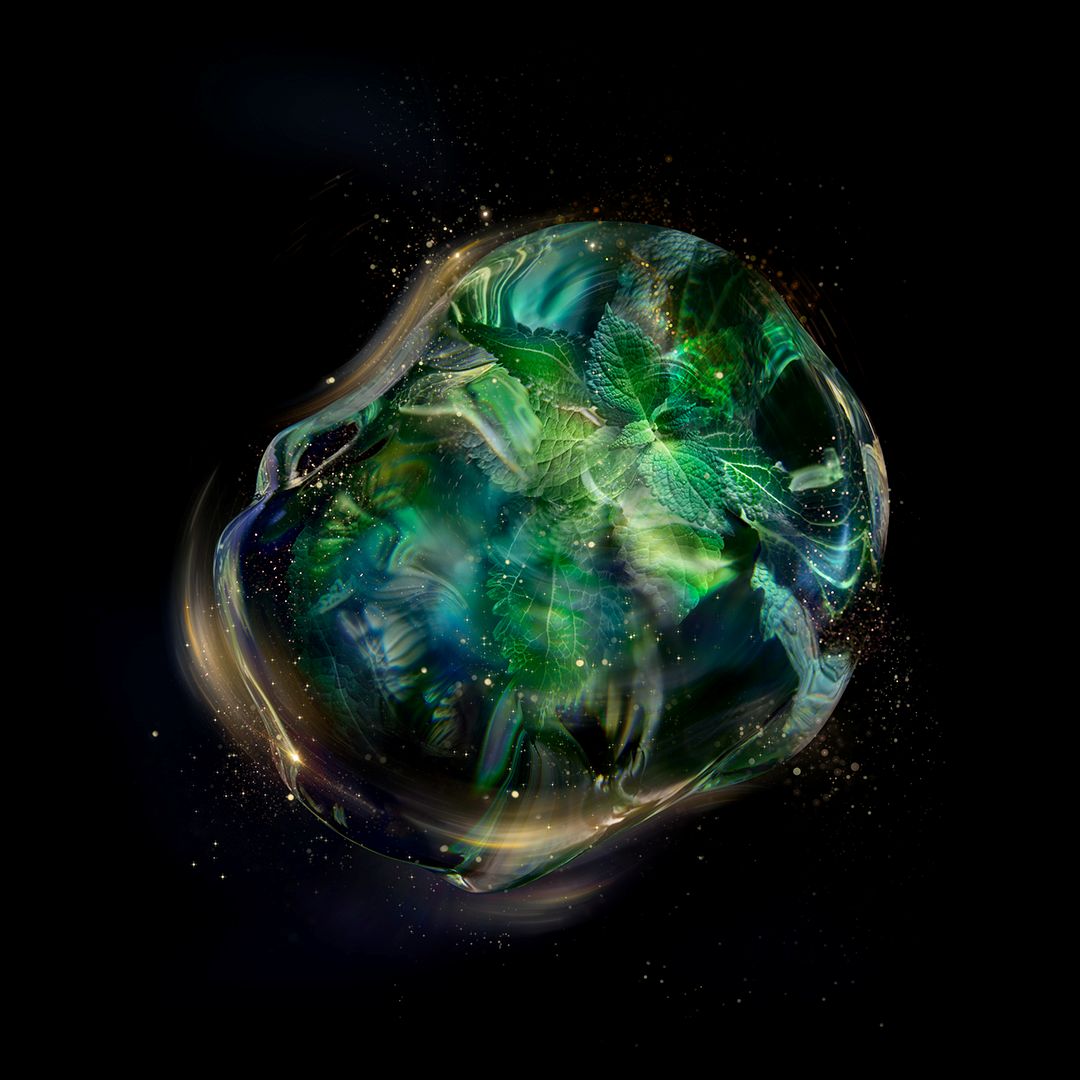 img-description