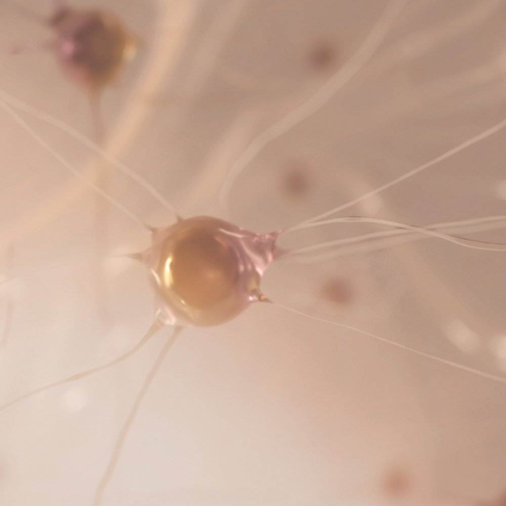 NEUR|AÉ - Neurocosmetica: de wetenschap van de verbinding tussen huid en hersenen