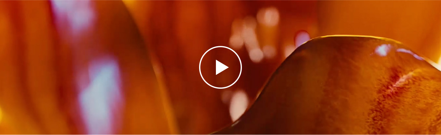 Le nouveau J’adore Intense avec une démonstration de ses ingrédients.